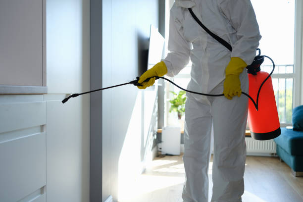 Trusted North Muskegon, MI Mold Removal Experts